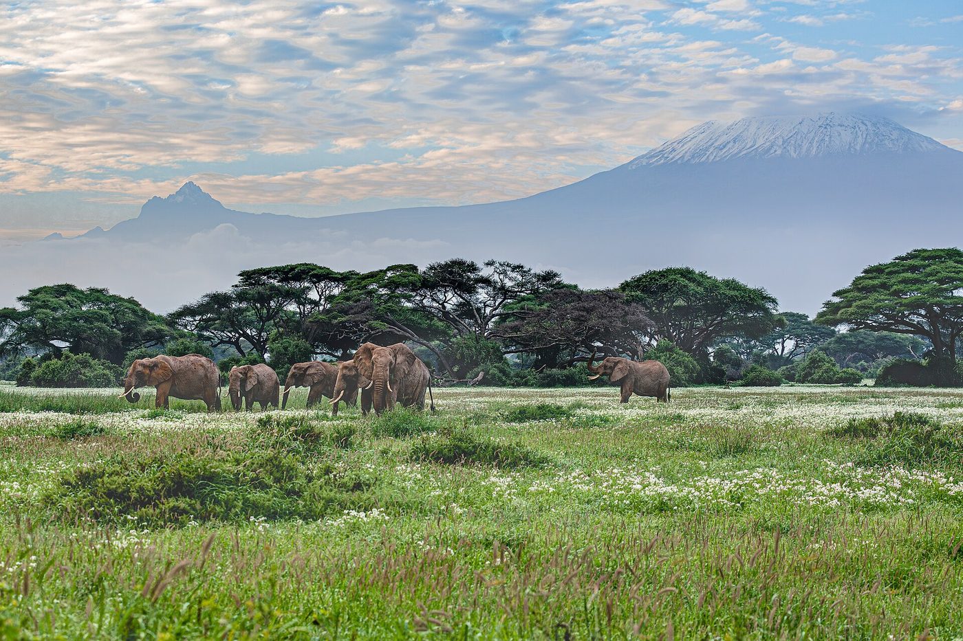 Amboseli