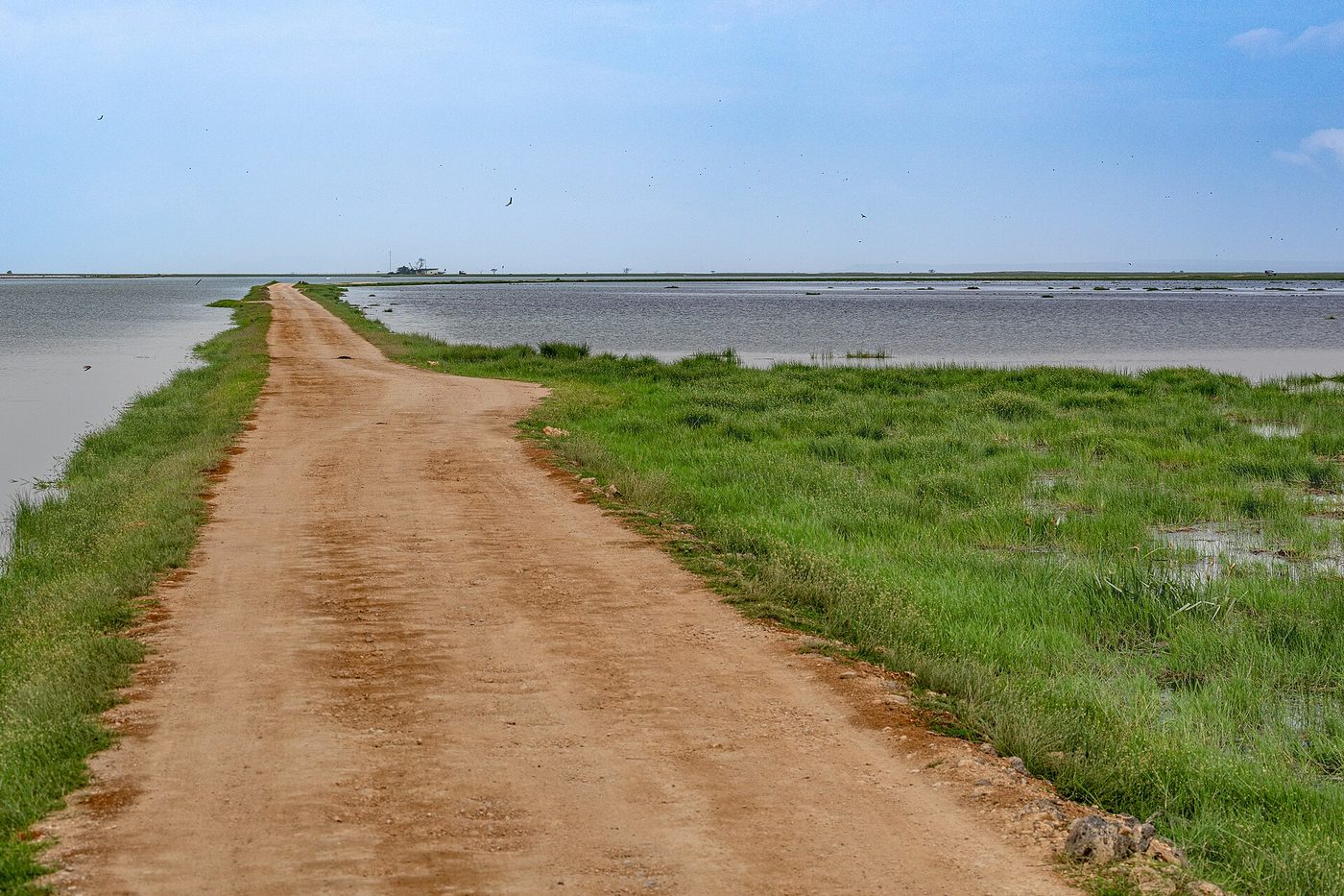 Amboseli