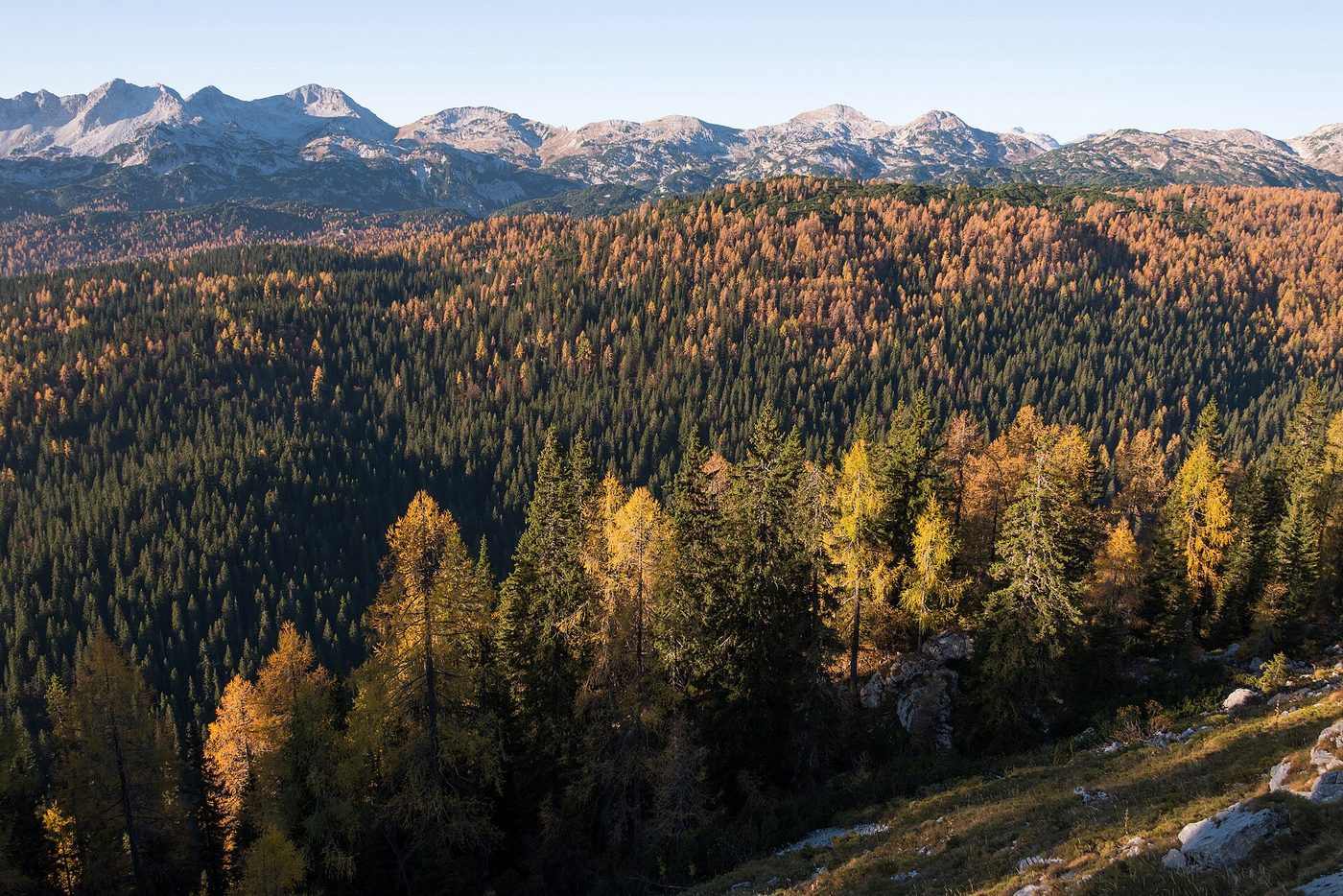 Slovenia