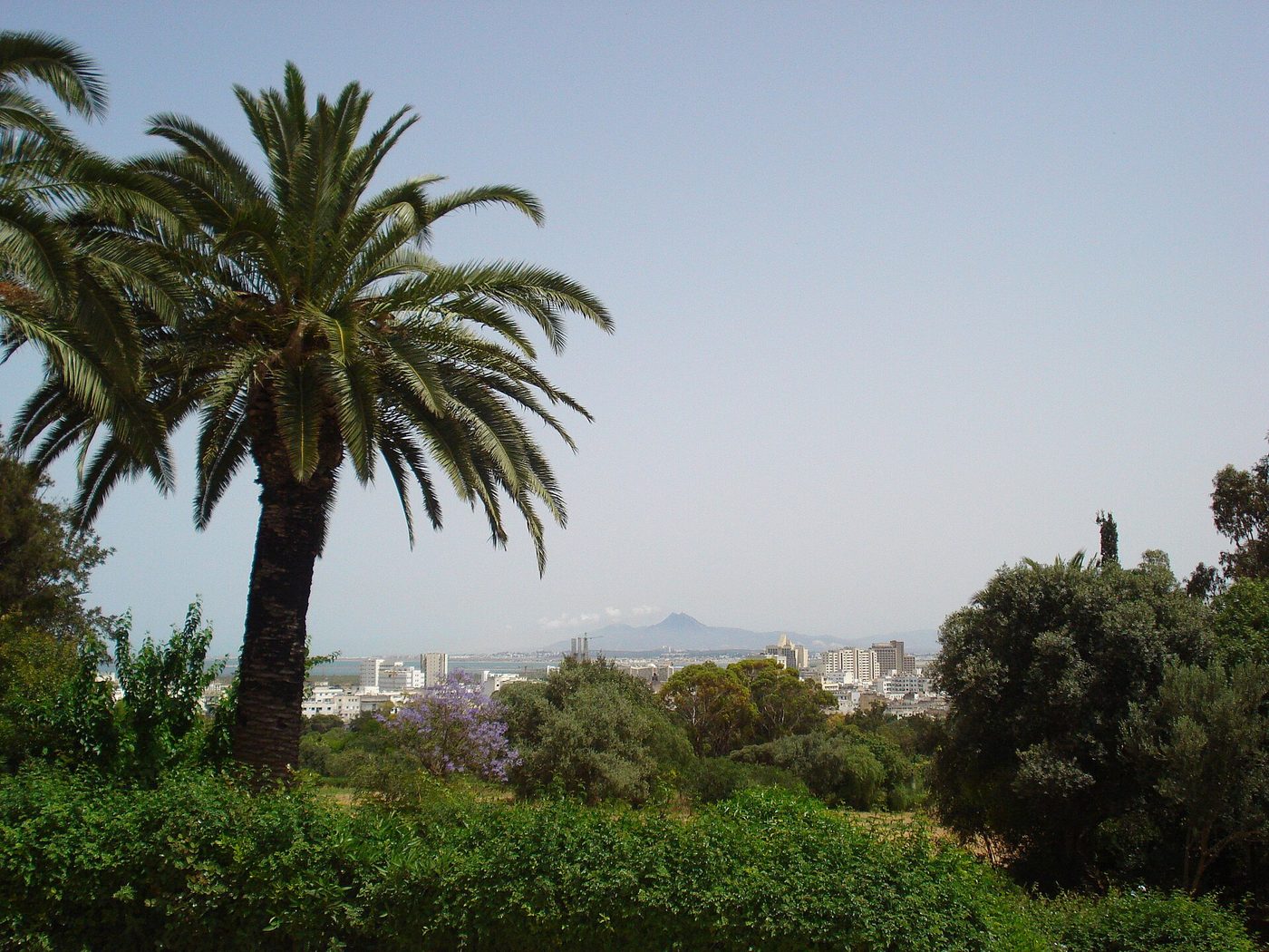 Tunis