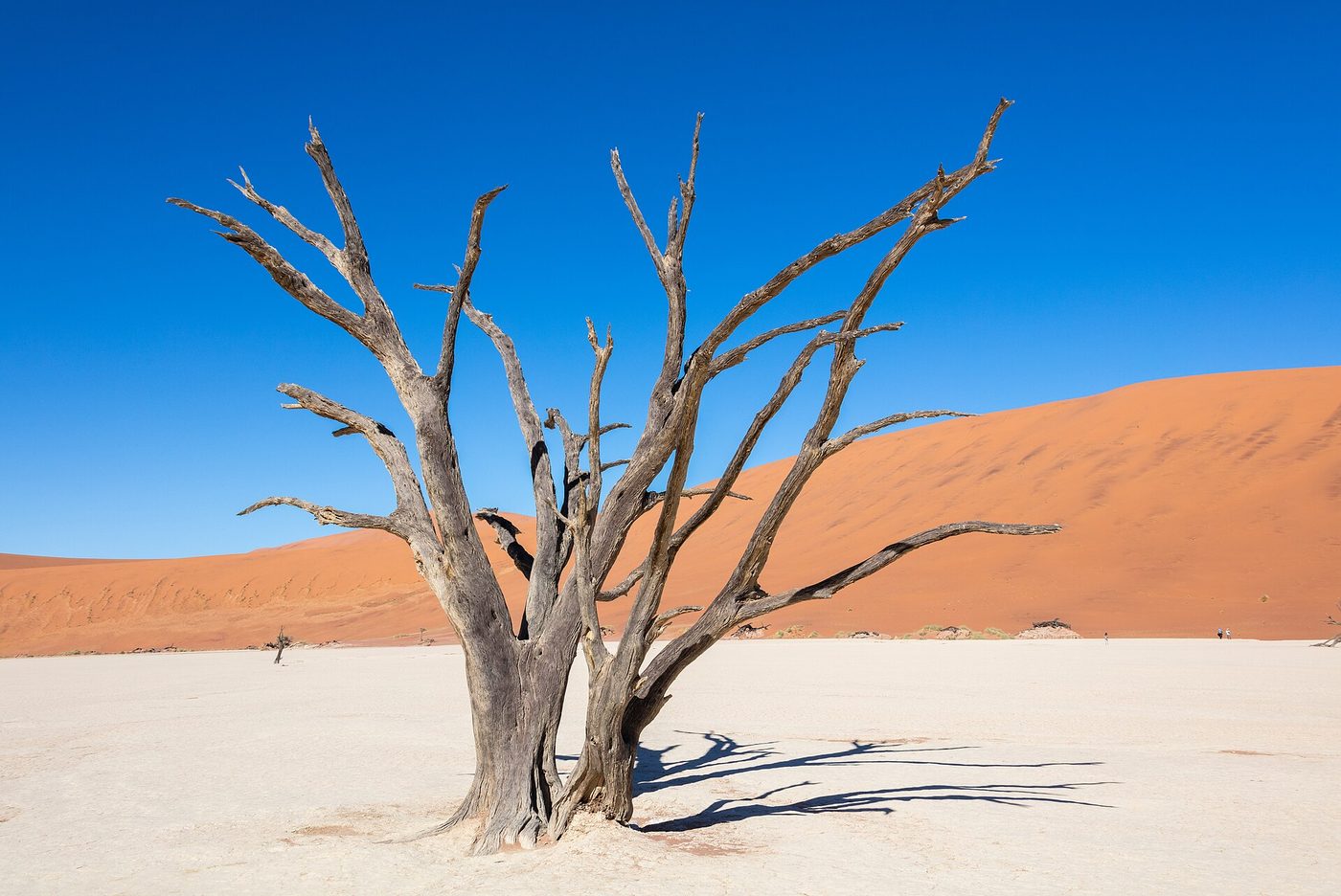 Namibia