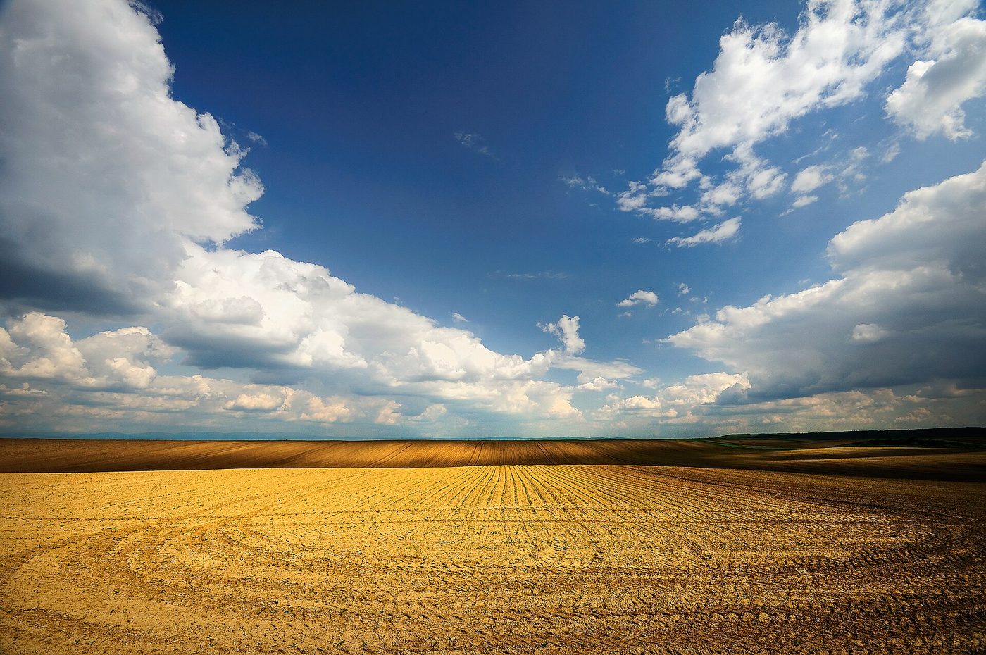 Deliblato Sands