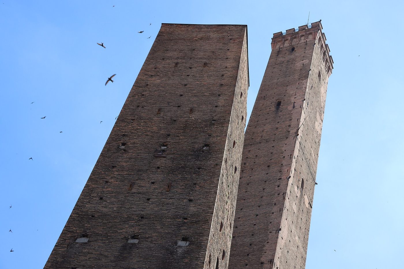 Bologna