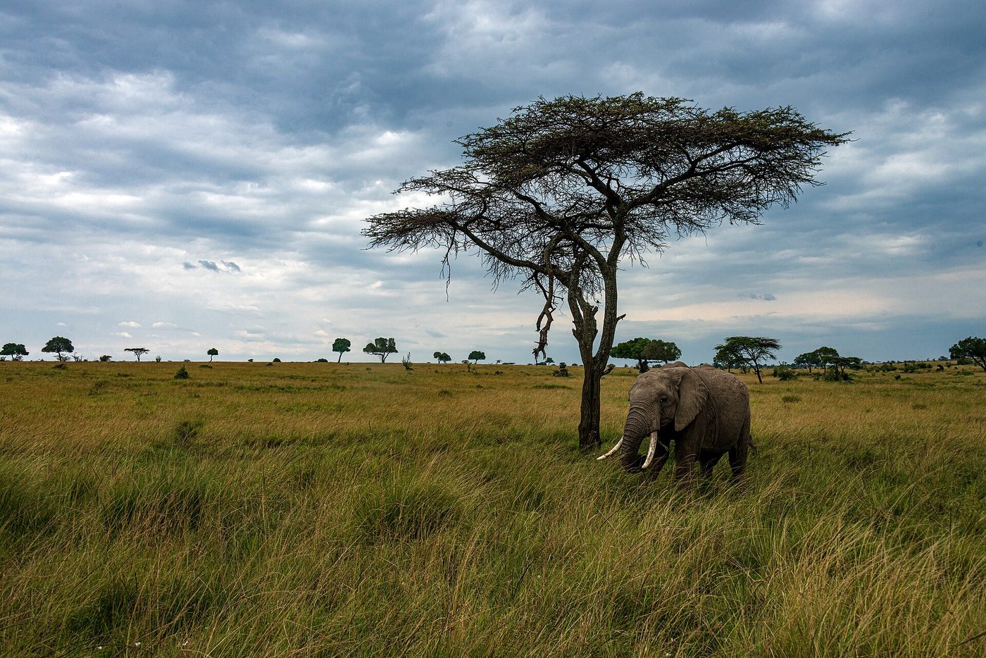 Kenya
