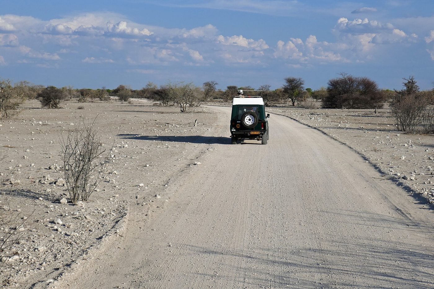 Kenya and Tanzania