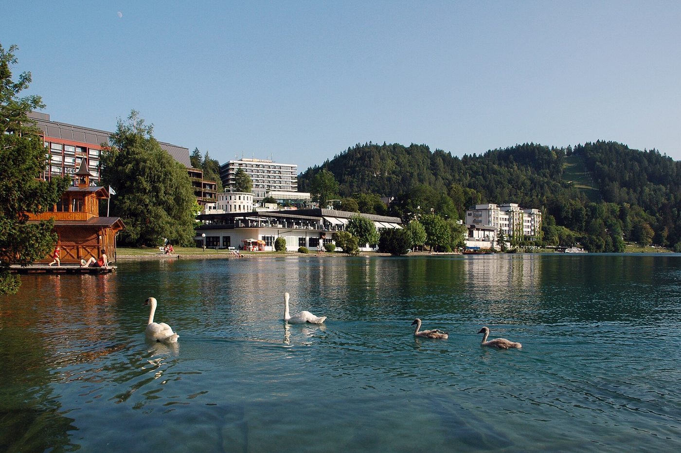 Bled