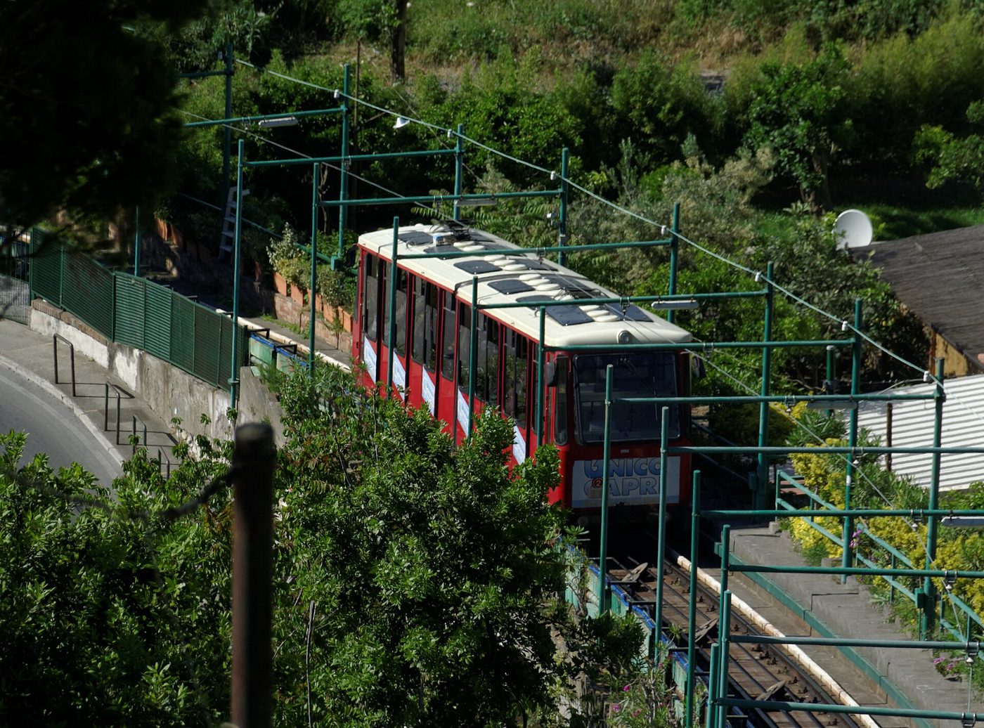 Kapri