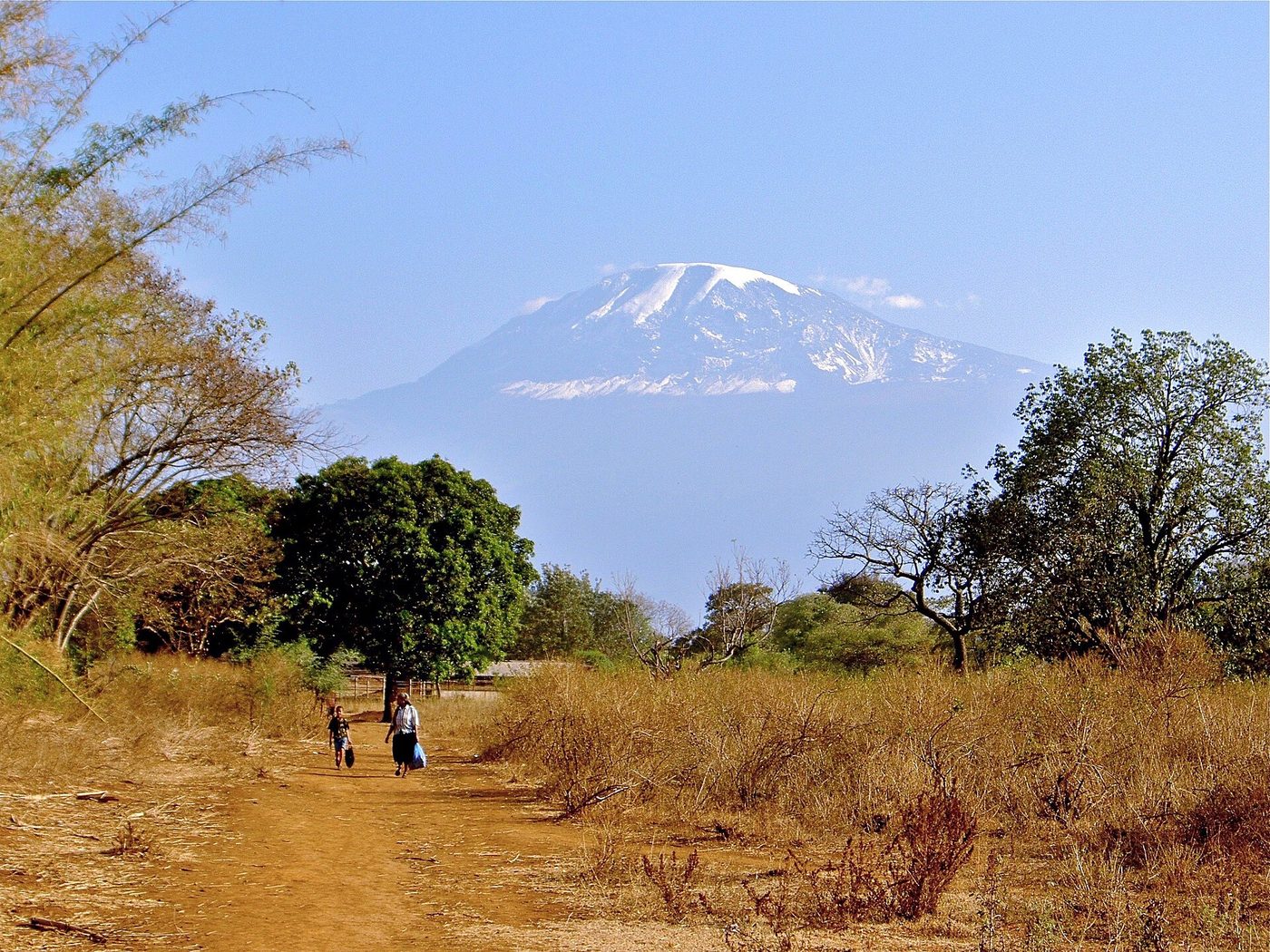 Kilimanjaro