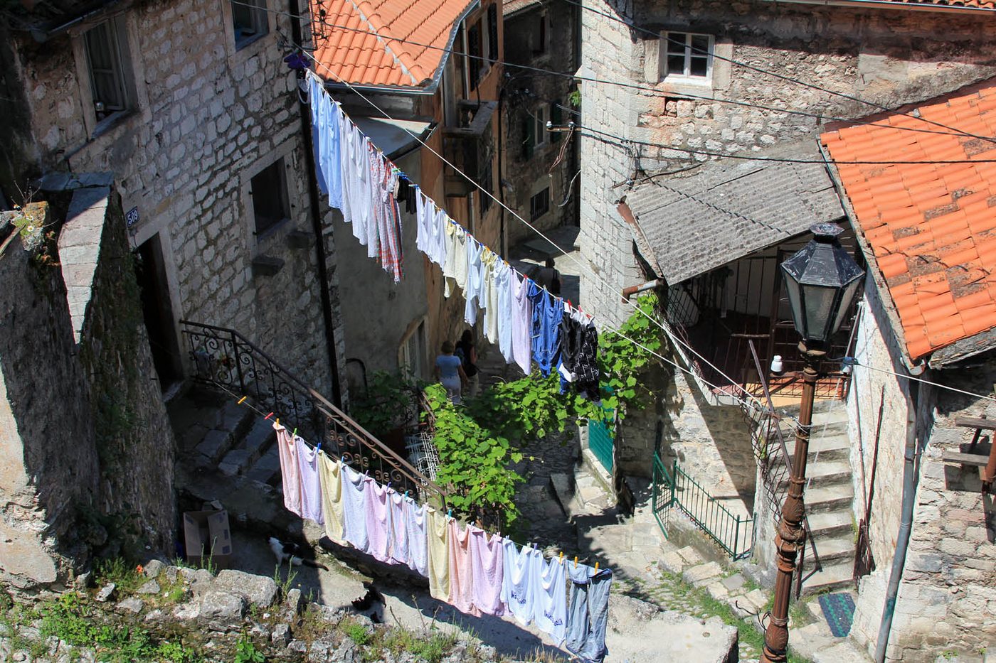 Kotor