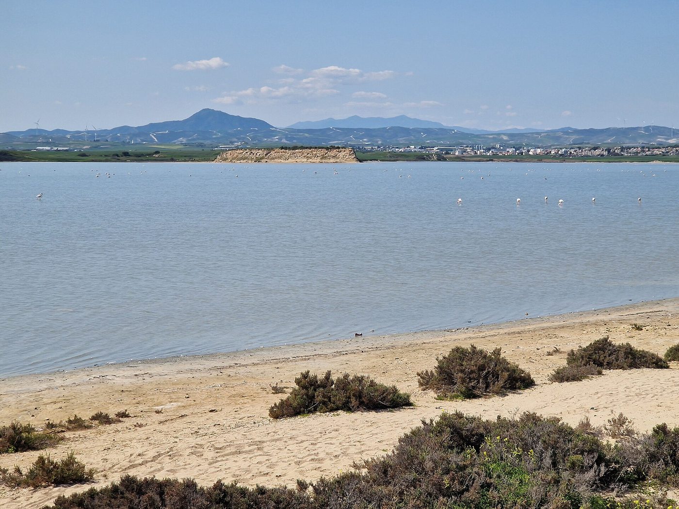Larnaka