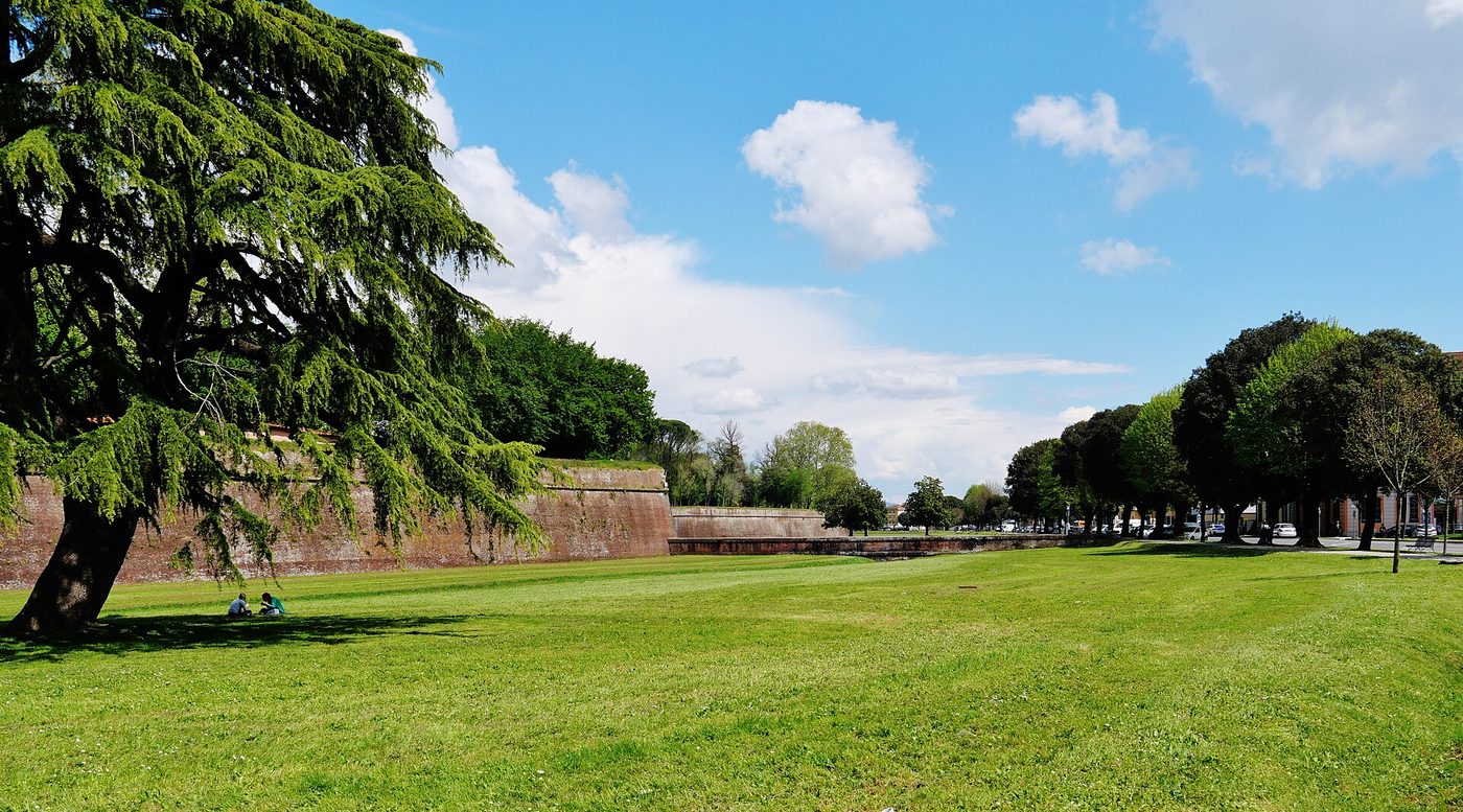 Pisa