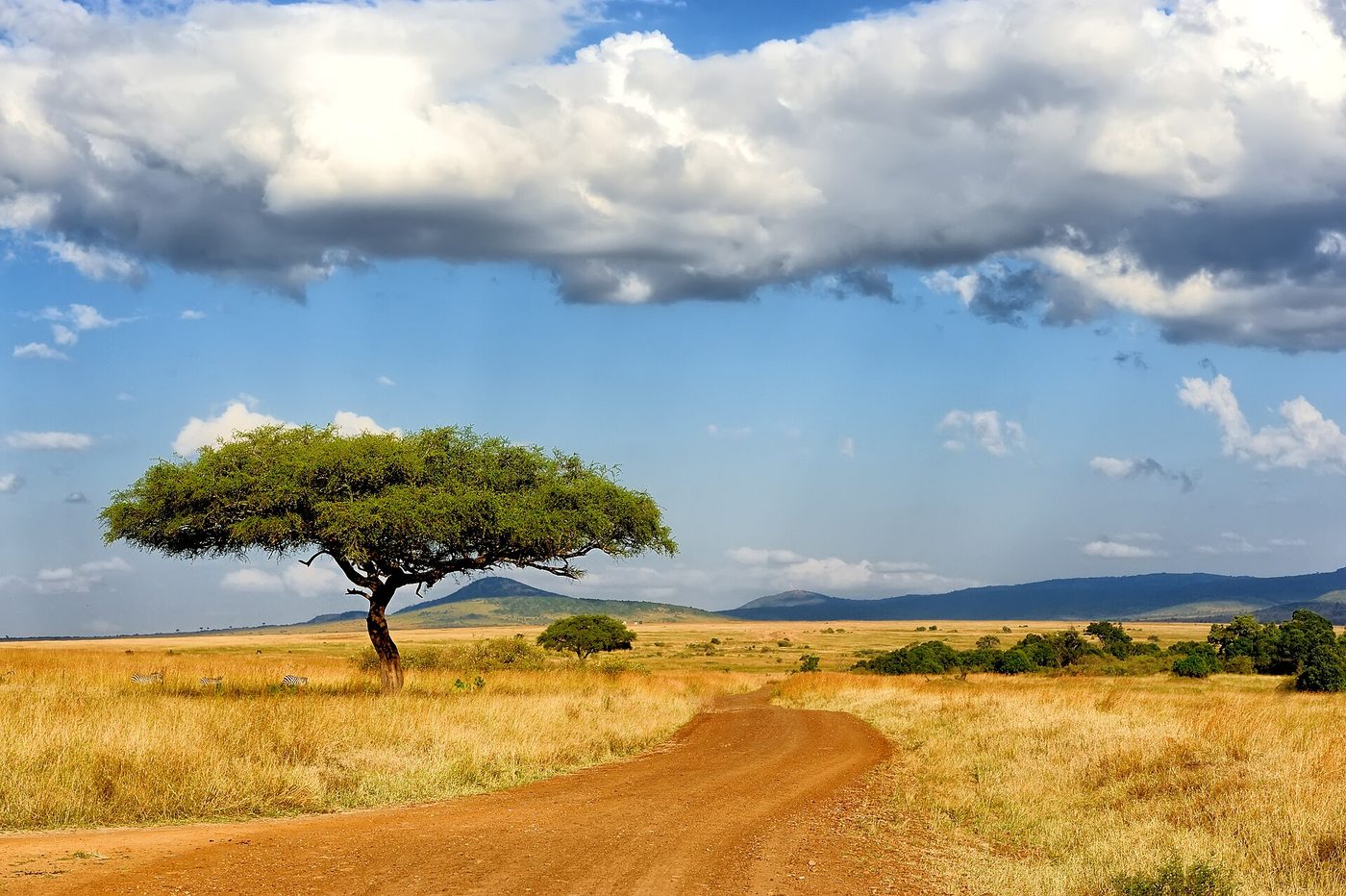 Masai Mara