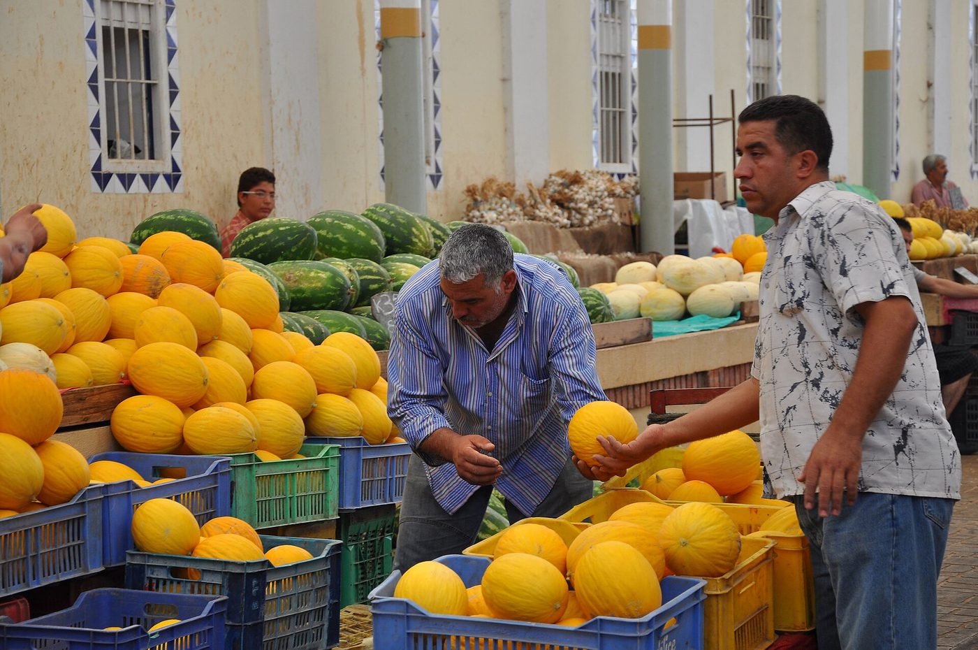 Tunis
