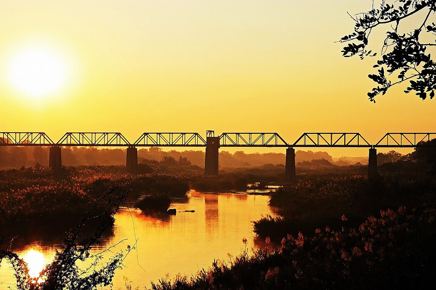 Kruger