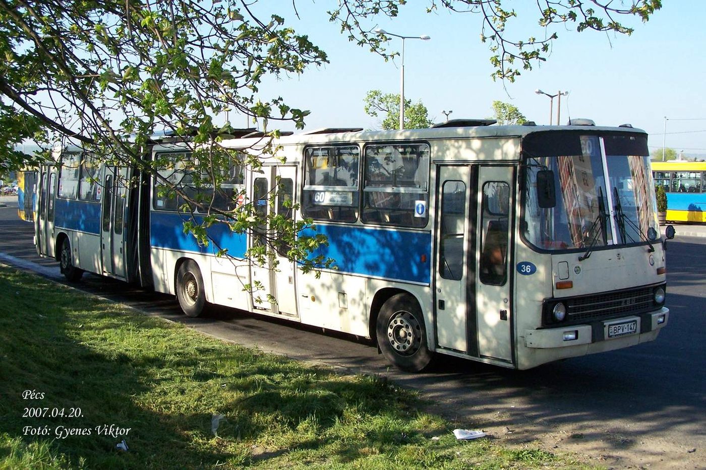Pécs