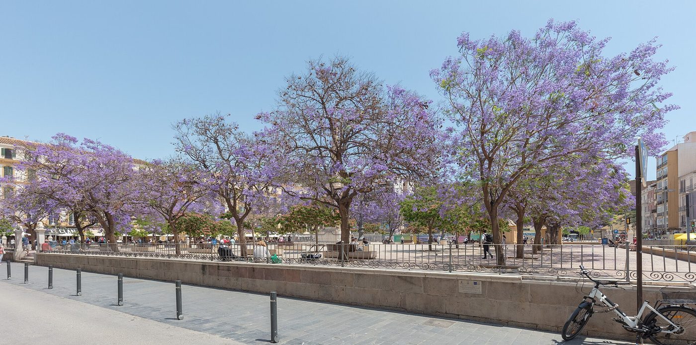 Málaga
