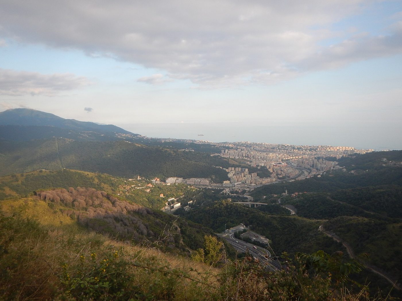 Đenova