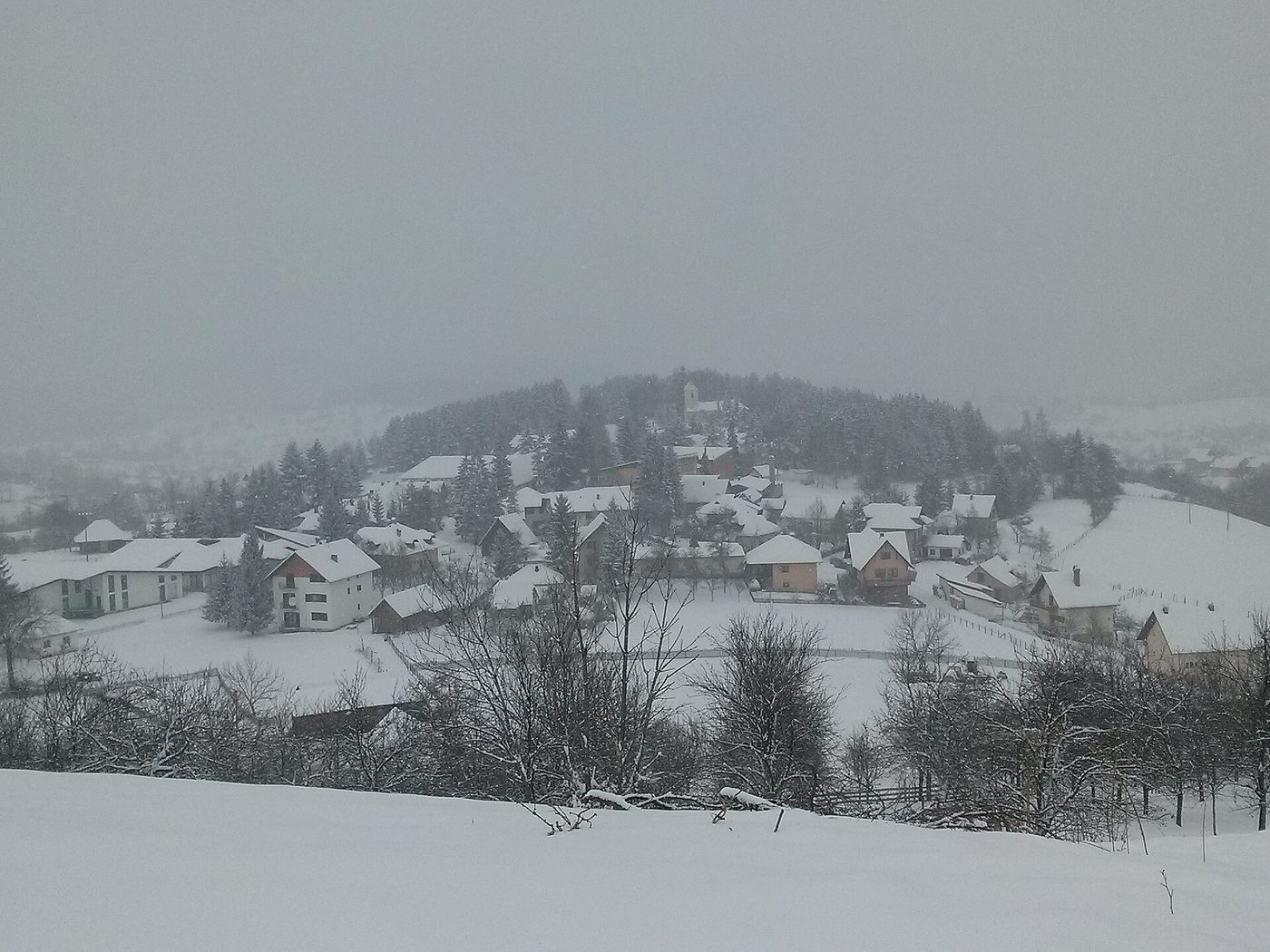 Sirogojno