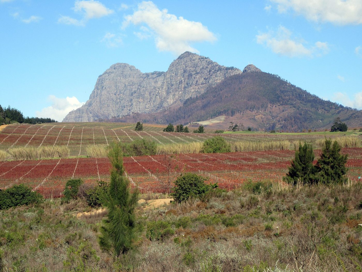 Cape Town