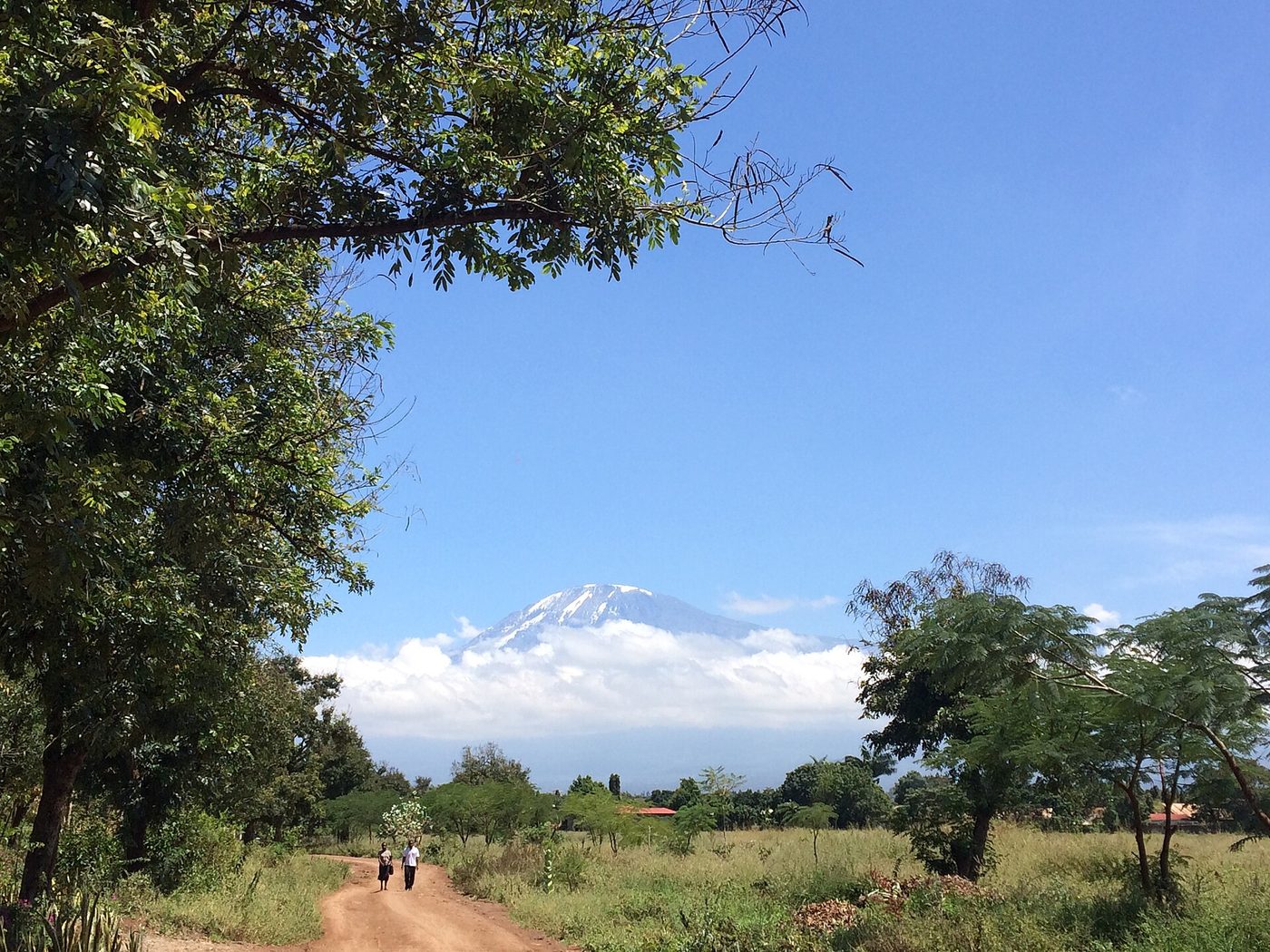 Kilimanjaro