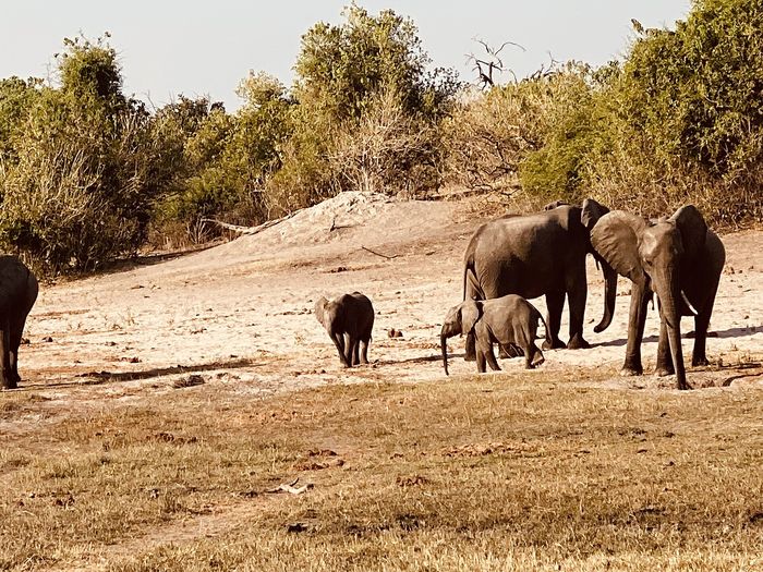 Zambezi (Caprivi)