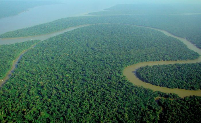 The Amazon