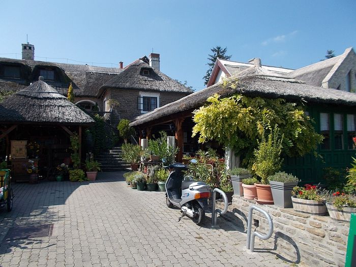 What to eat in Lake Balaton