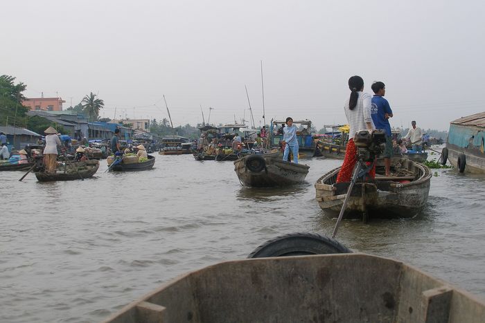 The Mekong Delta