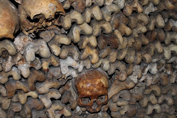 Paris Catacombs Tickets: Time Slot, the Route and What to Expect Underground