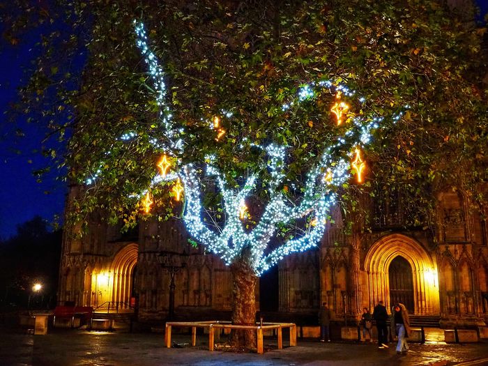 A lit tree in front of the entrance to York Minster.