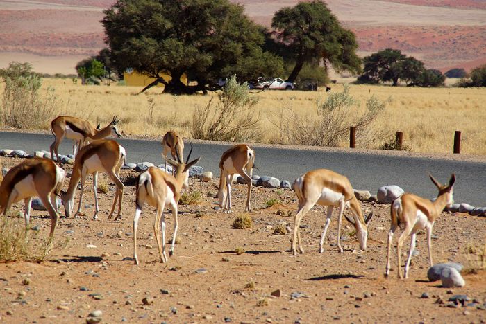 The best time to visit Sossusvlei