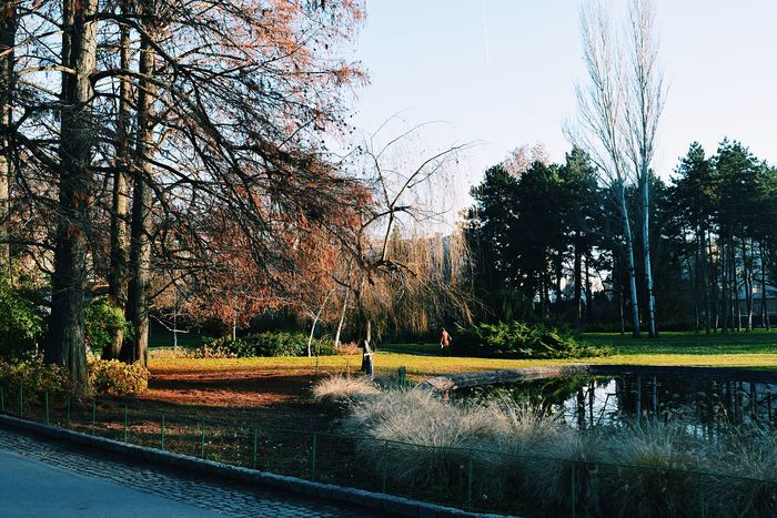 Kada ići u Novi Sad
