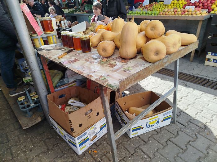 Gde i šta se jede u Novom Sadu