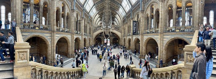 The Science Museum, the Natural History Museum and the V&A share one corner of South Kensington. All three are free to enter; Wonderlab and the IMAX at the Science Museum are not.