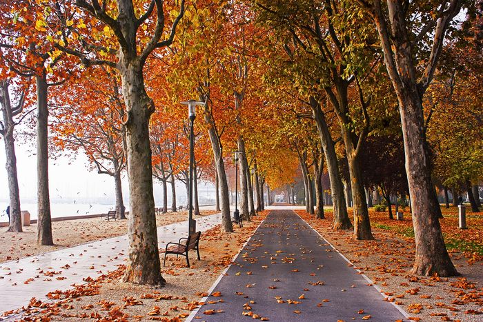 The best time to visit Lake Balaton