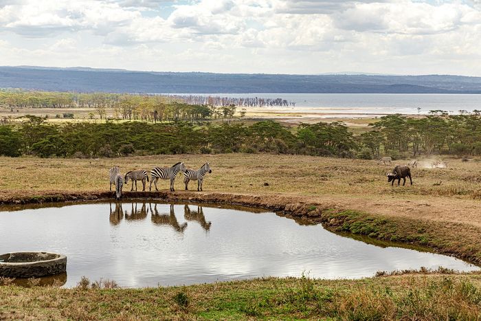 Day trips from Nairobi