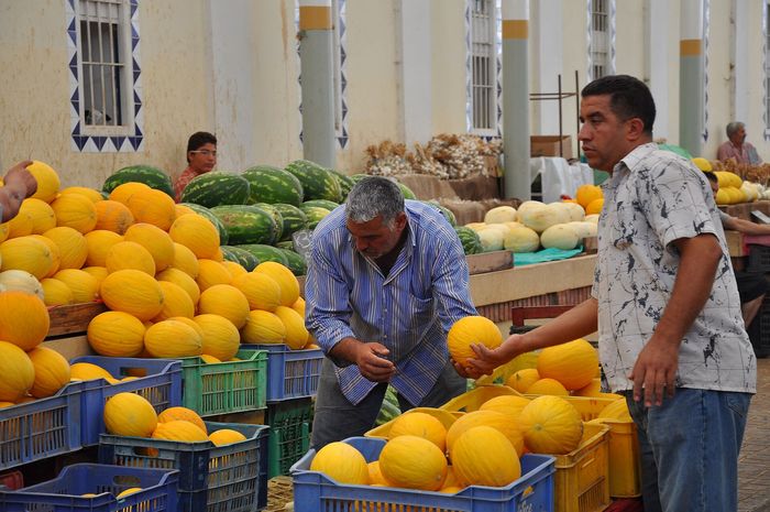 What to eat in Tunis