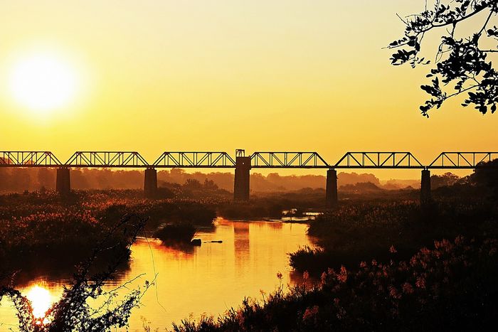 The best time to visit Kruger