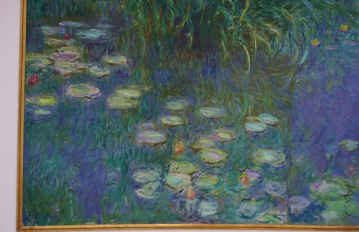Musée de l'Orangerie Tickets: Time Slot and How to See Monet's Water Lilies