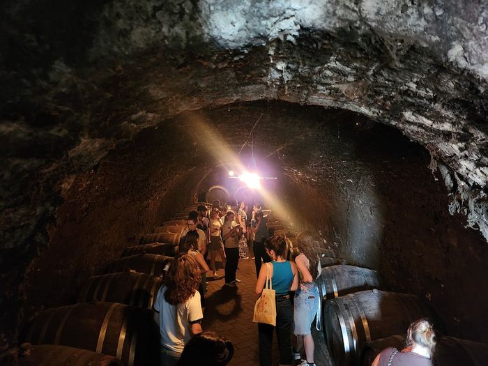 Gde i šta se jede u Sremskim Karlovcima