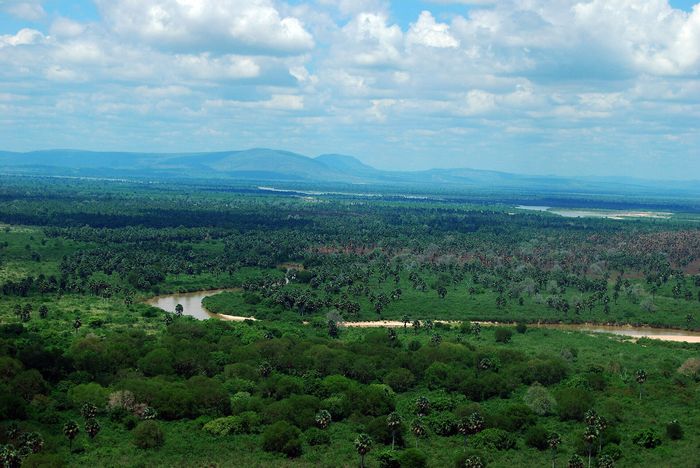 Nyerere (Selous)