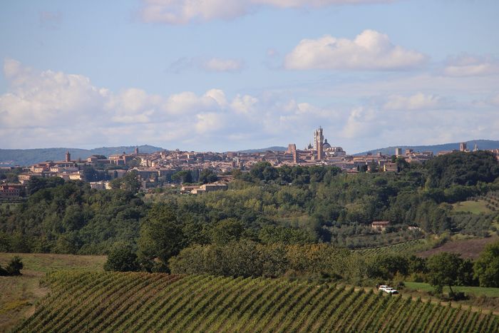 Siena in 1 day