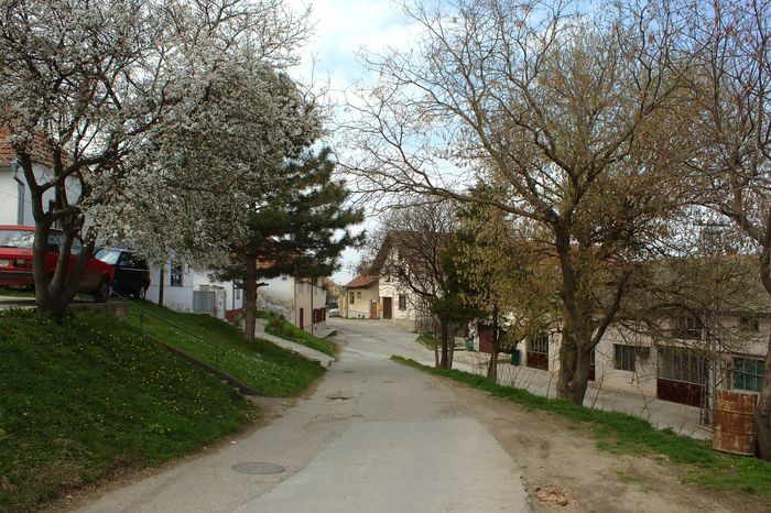 Gde odsesti u Sremskim Karlovcima