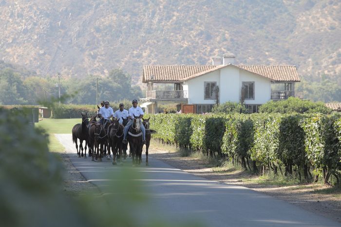 The Colchagua valley