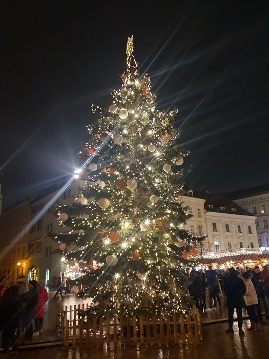 Bratislava Christmas markets: three squares and a hall