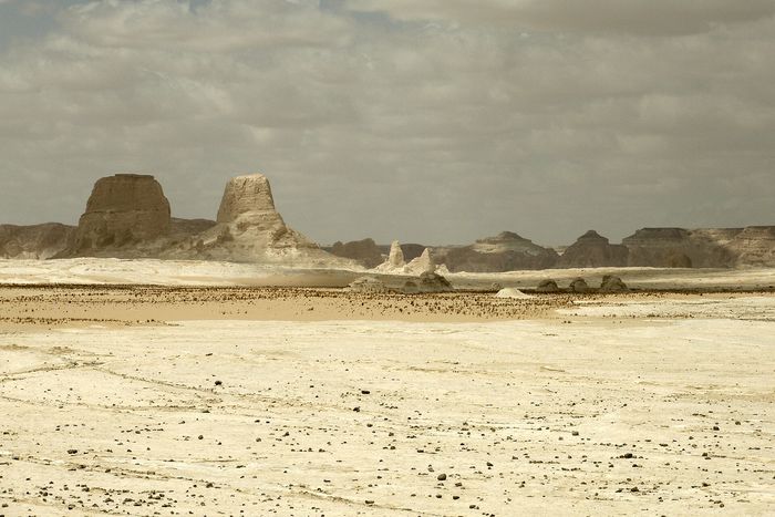 The White Desert