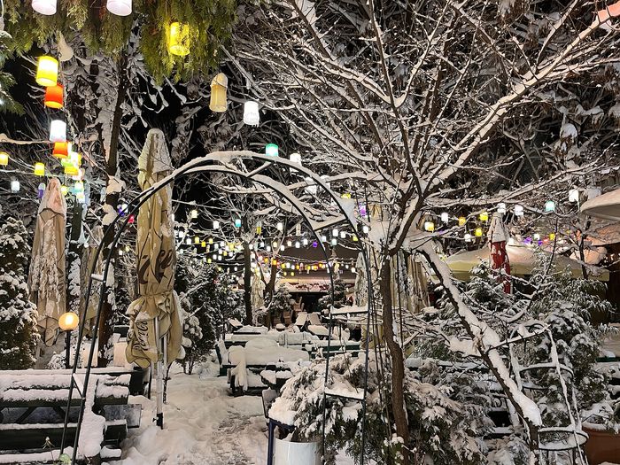 New Year's Eve in Sarajevo: the public concert and alternatives