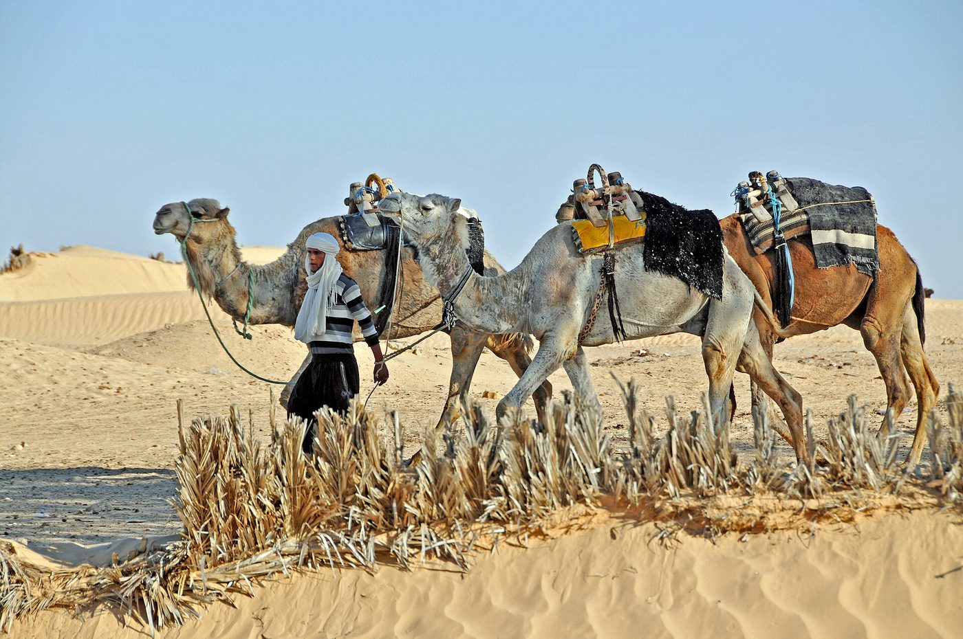 Tozeur and Douz, Tunisia