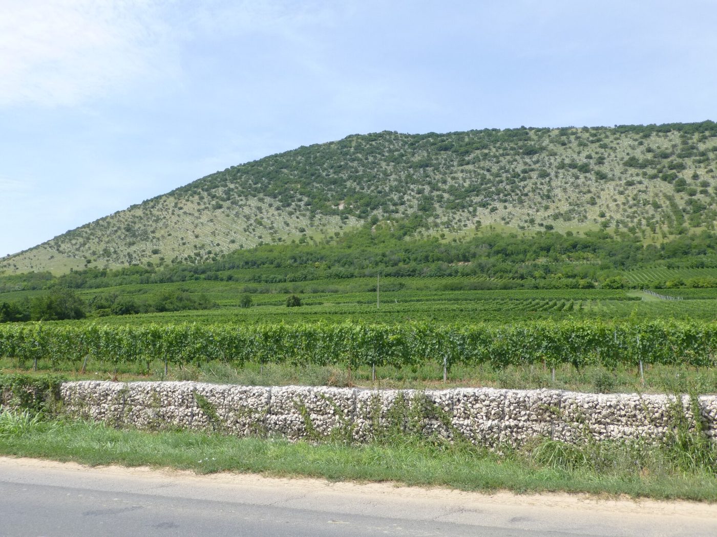 Pécs