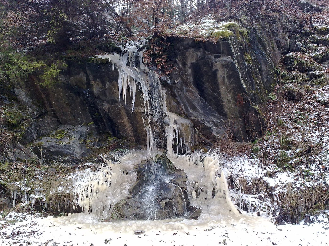 Golija